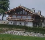Pfeffer
